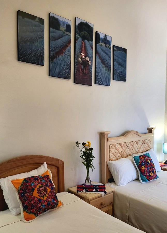 Casa Los Arquitos B&B Oaxaca Екстериор снимка